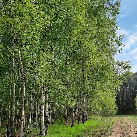 Lasonarium Дом отдыха Кретовины
